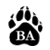 Bridgton Academy Wolverines